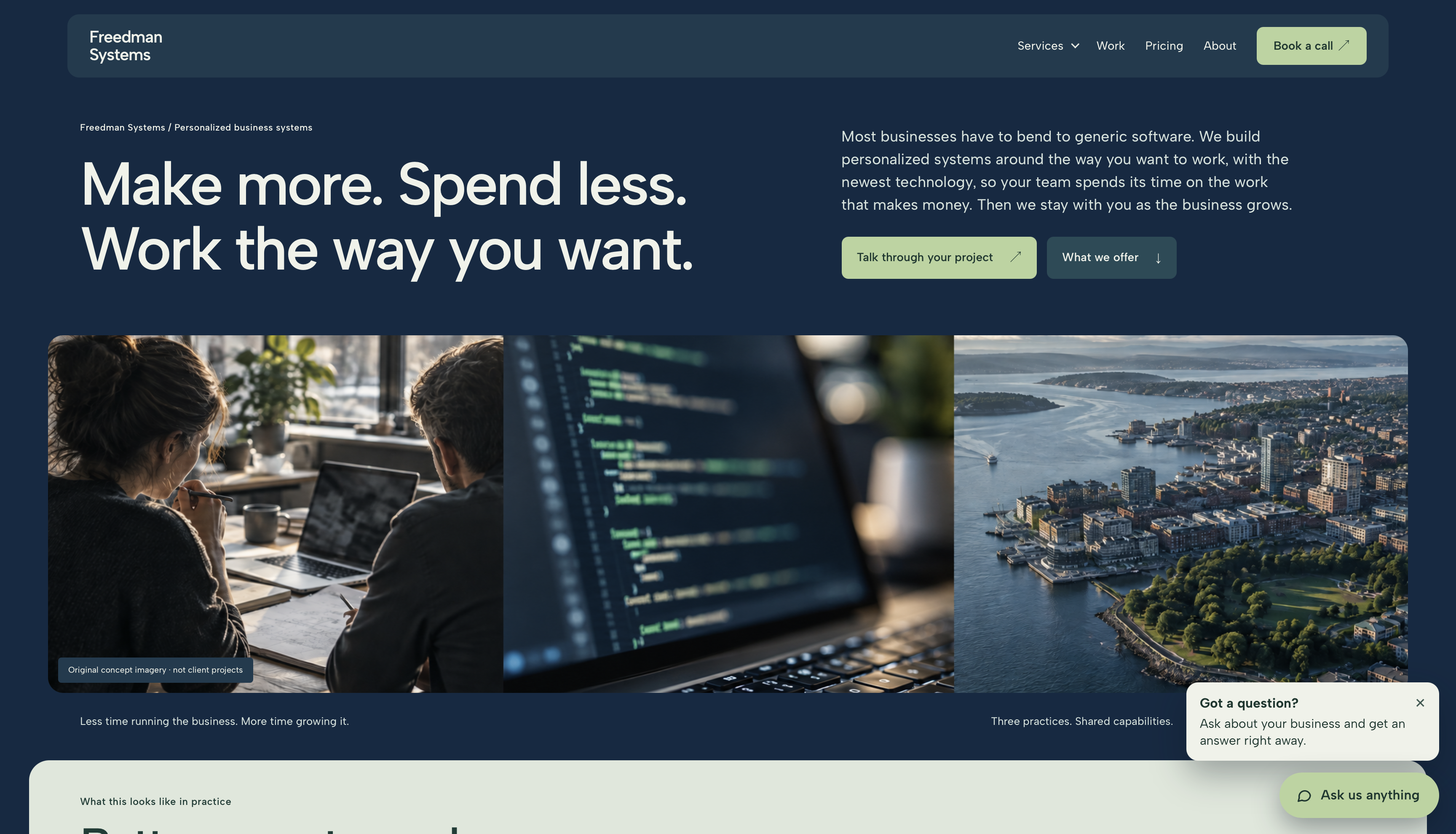 Freedman Systems homepage with its navy layout, business systems message, and three-image hero montage